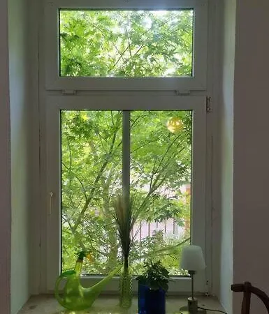 Apartment Kleine Aber Feine Und Ruhige In Leipzig
